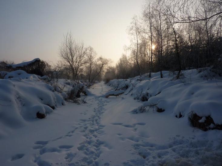 Романків з panoramio.com - Romankiv