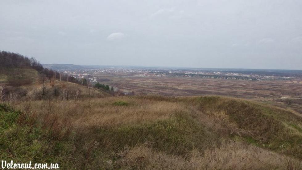 Великі Дмитровичі з panoramio.com - Великі Дмитровичі