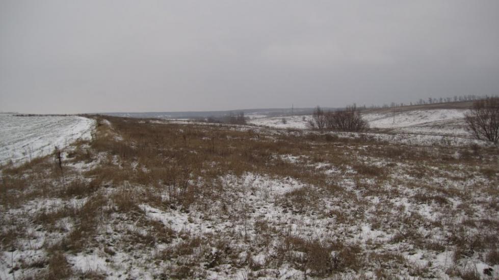 Нове з panoramio.com - Новое