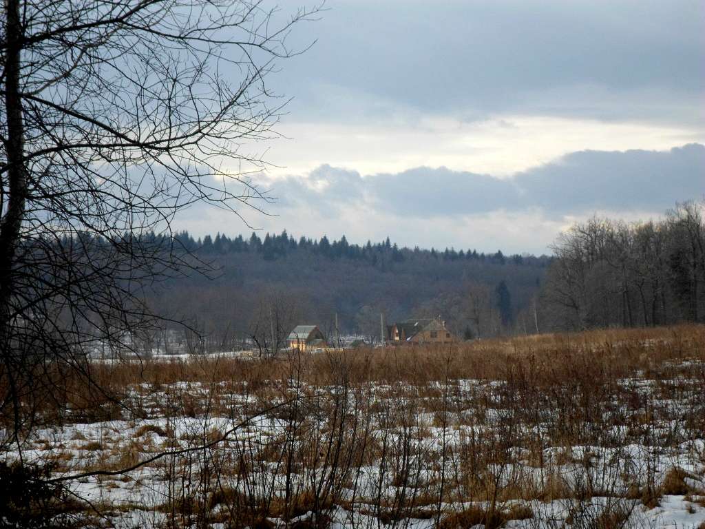 краєвид - Lysovychi