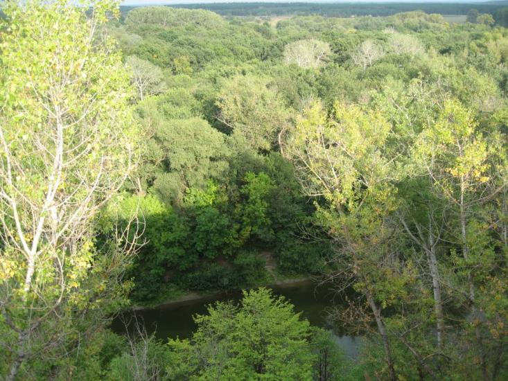 Плавні з panoramio.com - Плавни