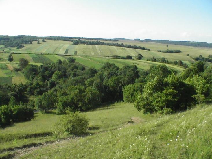 Квіткове з panoramio.com - Квіткове