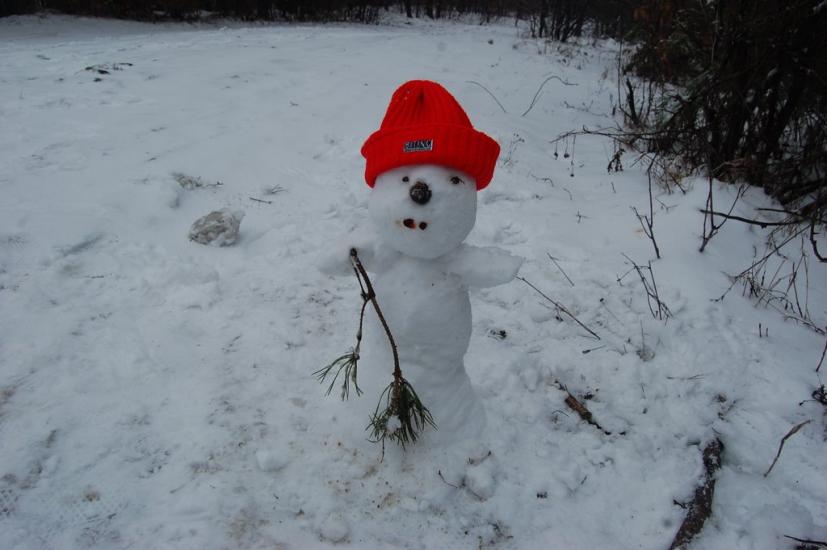 Добринівці з panoramio.com - Dobrynivtsi