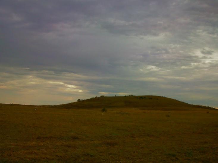 Каштани з panoramio.com - Каштани