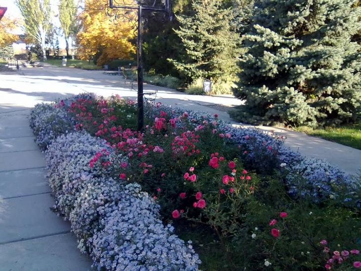 Приморськ з panoramio.com - Приморск