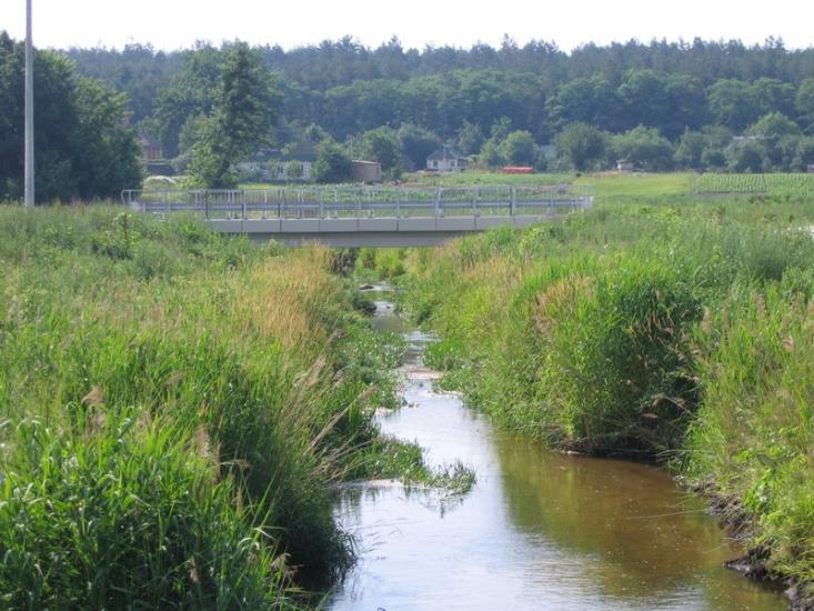 Старі Безрадичі з panoramio.com - Старі Безрадичі