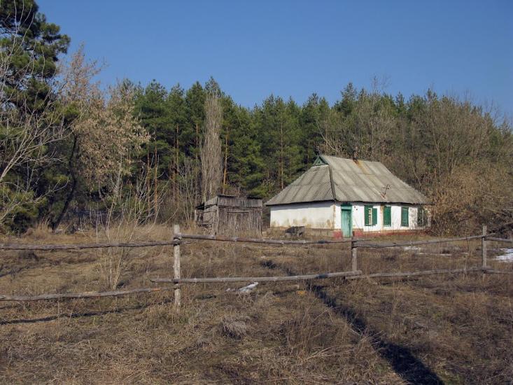 Бірки з panoramio.com - Бирки