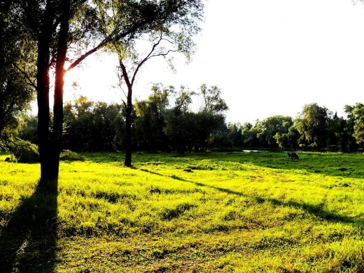 Жовте з panoramio.com - Желтое