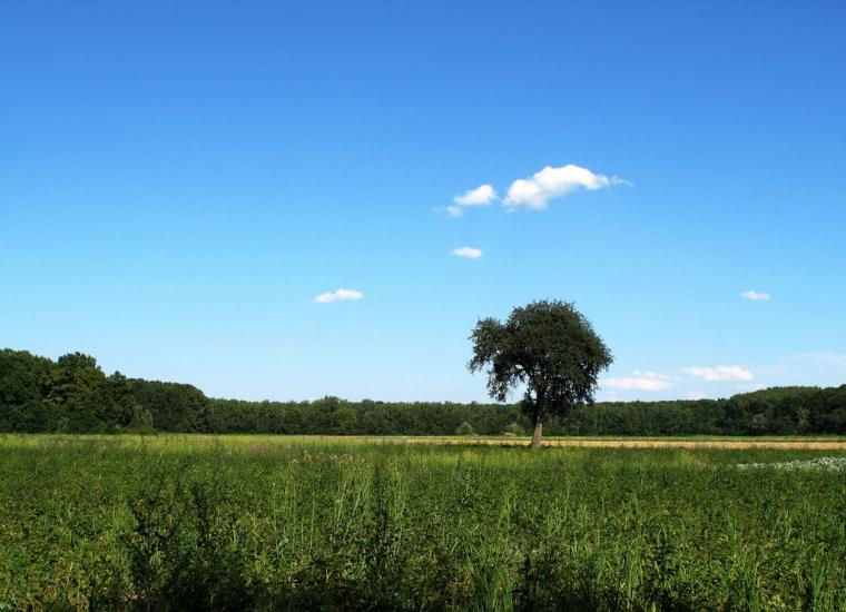 Велика Добронь з panoramio.com - Велика Добронь