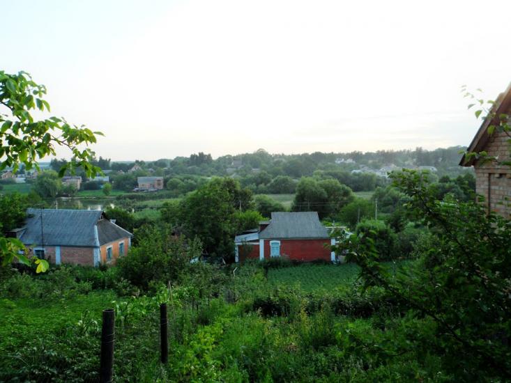 Зарванці з panoramio.com - Зарванцы