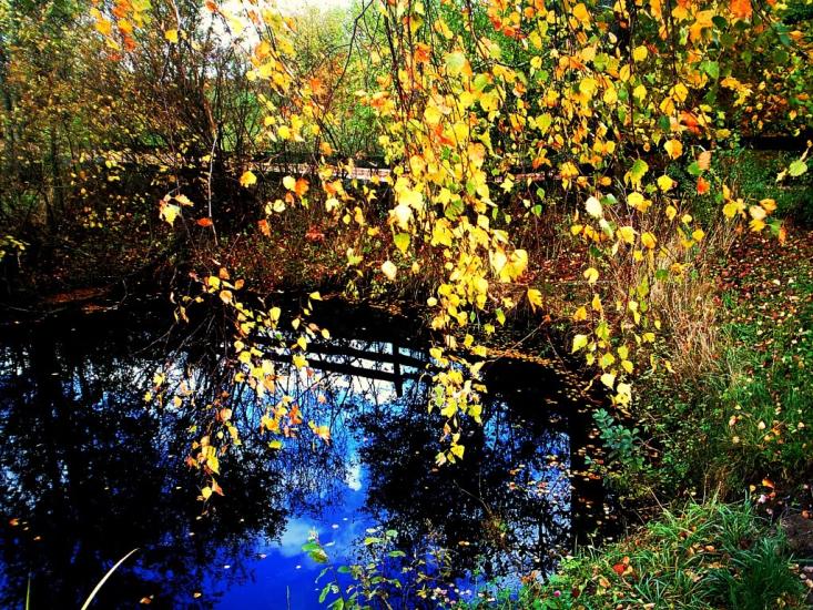 Краснопіль з panoramio.com - Краснопіль