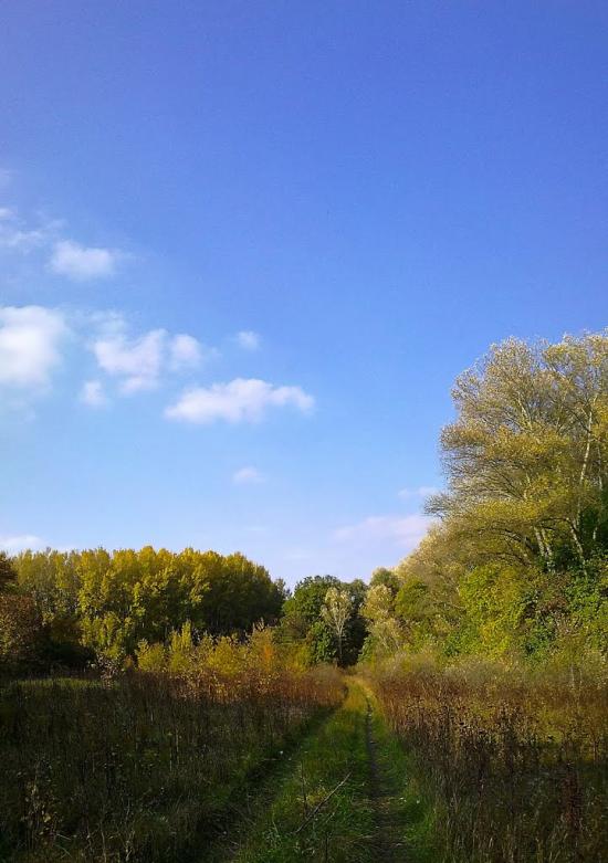 Приліпка з panoramio.com - Прилипка