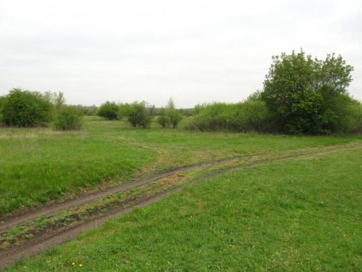 Закітне з panoramio.com - Закотное