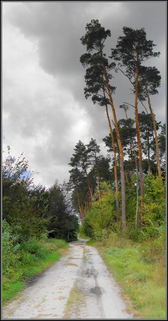 Коженики з panoramio.com - Коженики