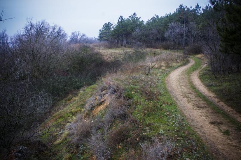 Придніпровське з panoramio.com - Придніпровське