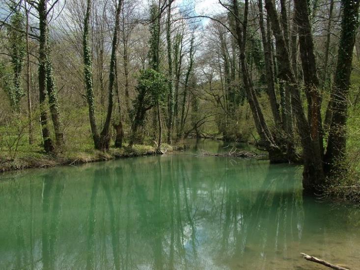 Нікішине з panoramio.com - Никишино