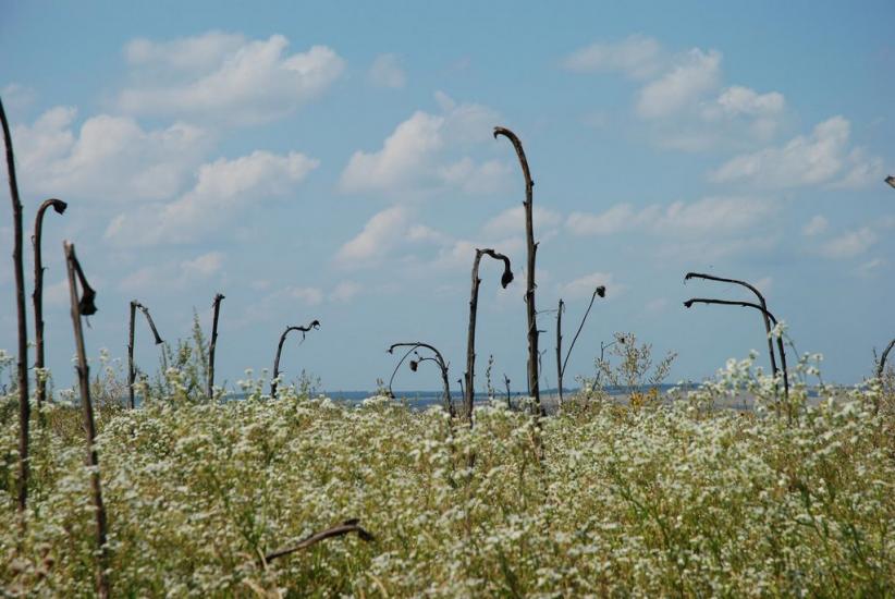 Руська Лозова з panoramio.com - Ruska Lozova