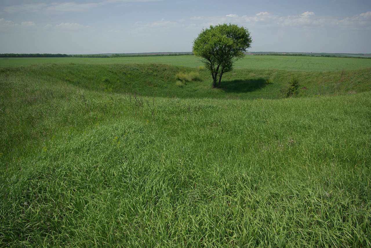 Похилев майдан 3 - В'язівок