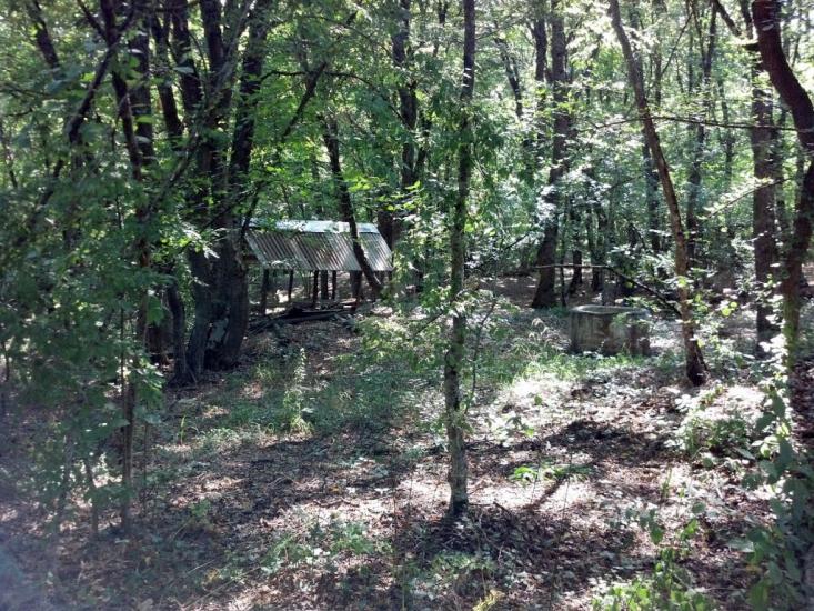 Орлине з panoramio.com - Орлине