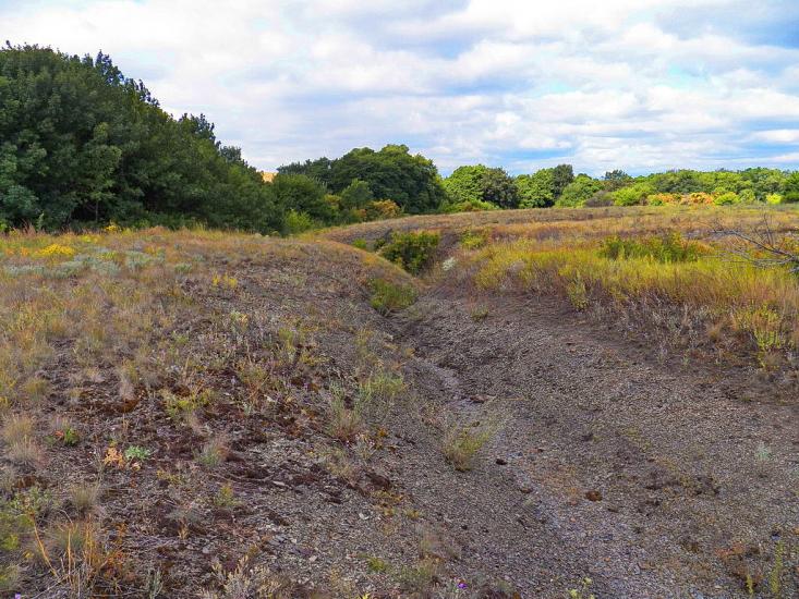 Чорнухине з panoramio.com - Чернухино