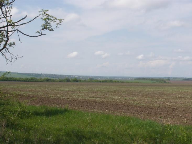 Саїнка з panoramio.com - Саїнка