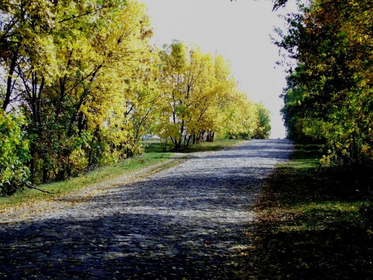 Романівка з panoramio.com - Романівка