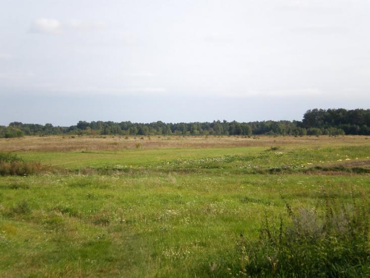 Облапи з panoramio.com - Облапы