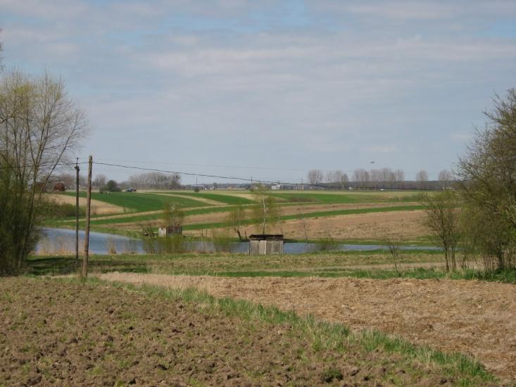 П'ятидні з panoramio.com - П'ятидні