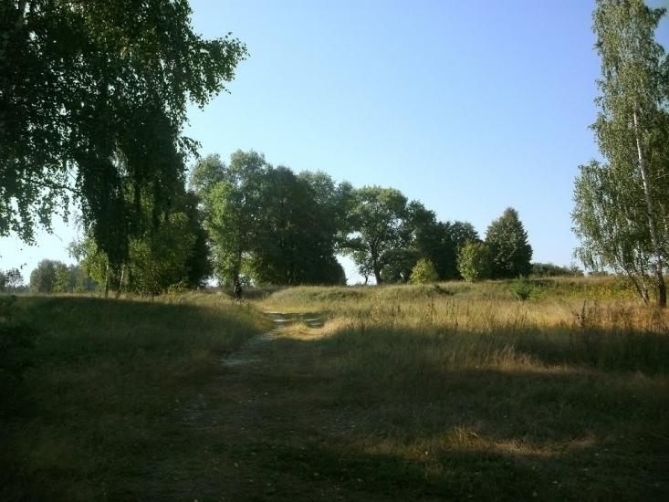 Лемешівка з panoramio.com - Лемешовка