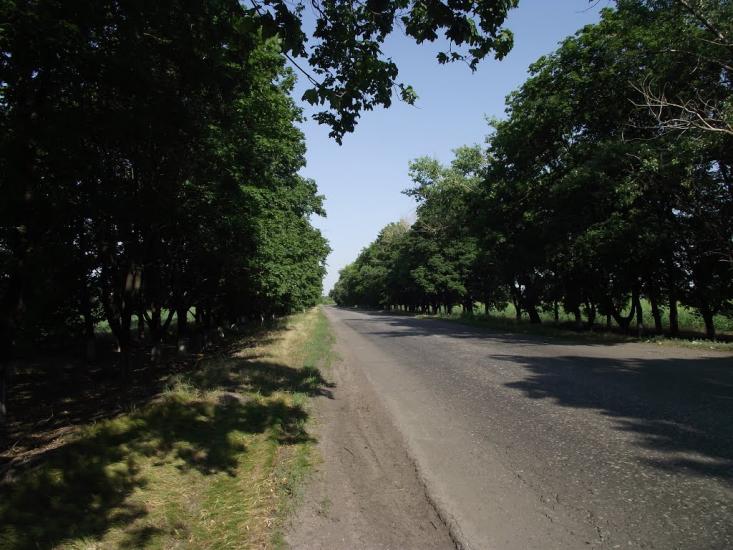 Родинське з panoramio.com - Родинское