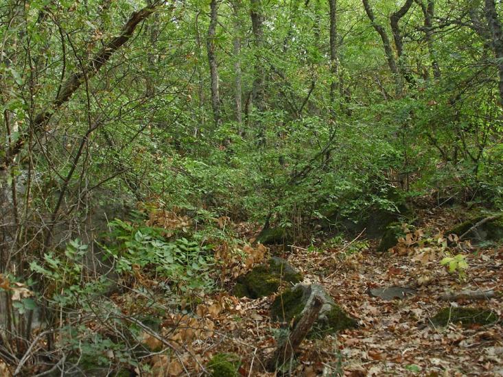 Запрудне з panoramio.com - Запрудне