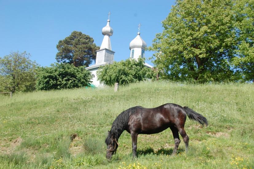 Горошівці з panoramio.com - Горошовцы