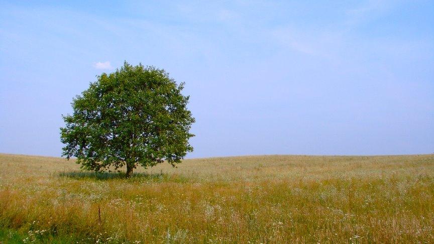 Брусилів з panoramio.com - Брусилов