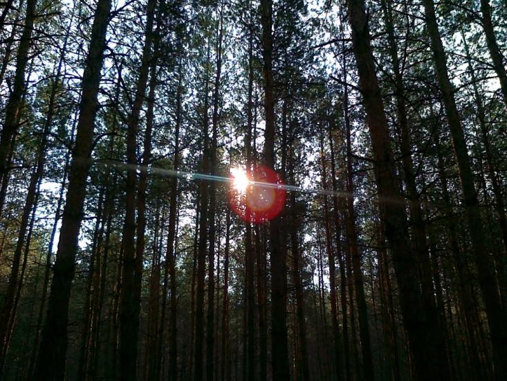 Дронівка з panoramio.com - Дронівка
