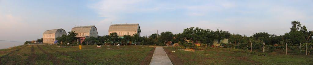 Осетрівка з panoramio.com - Осетрівка