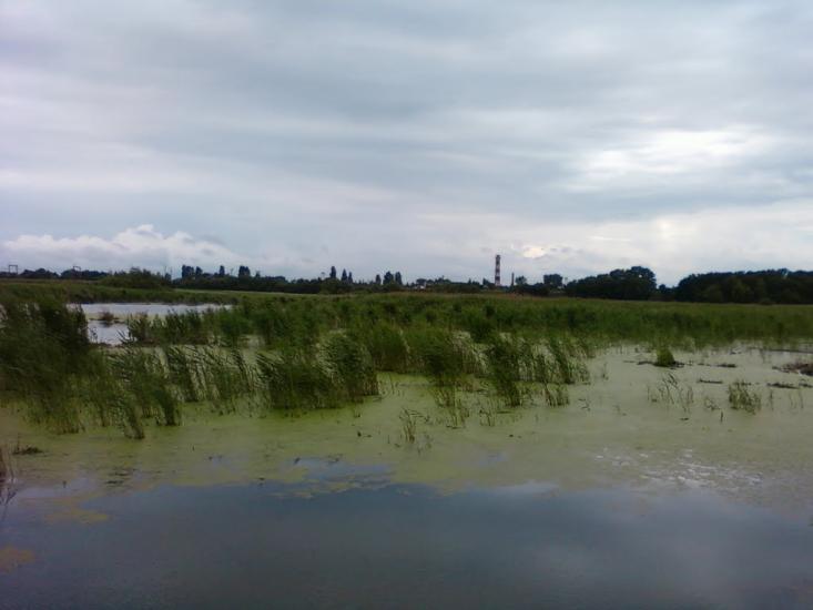Калинівка з panoramio.com - Калиновка