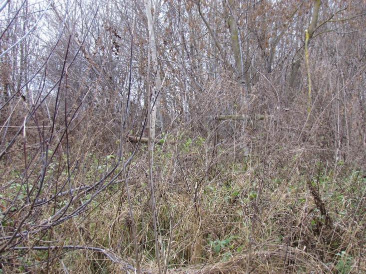 Сиваківці з panoramio.com - Сиваківці