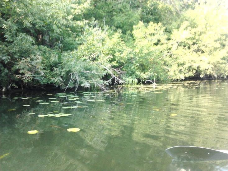 Межиріч з panoramio.com - Межиріч