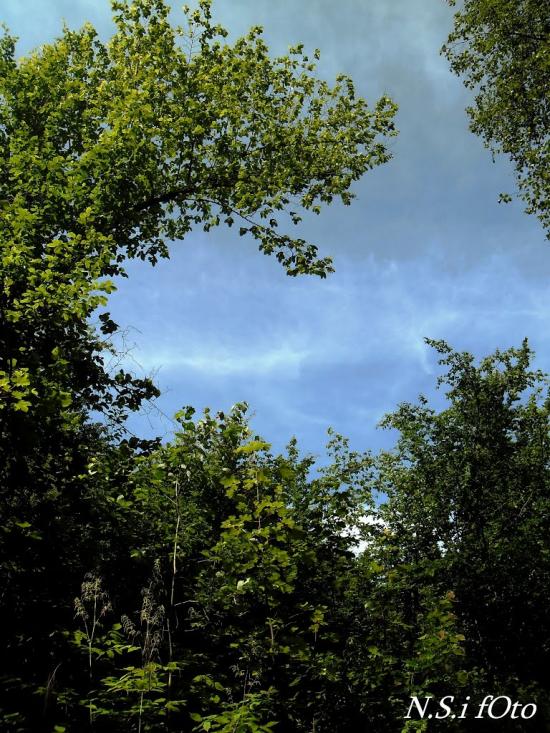Бедевля з panoramio.com - Бедевля