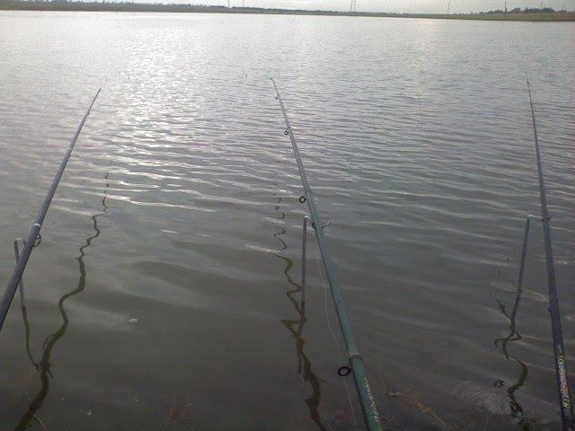 Куйбишеве з panoramio.com - Куйбышево