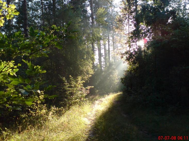 Кушкине з panoramio.com - Kushkyne