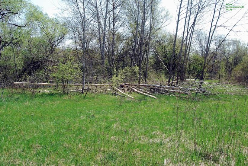 Плавні з panoramio.com - Плавни