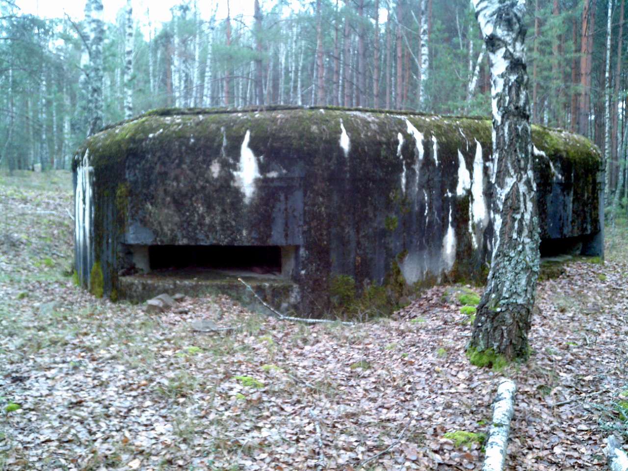 Коростенский укрепрайон - Тхорин