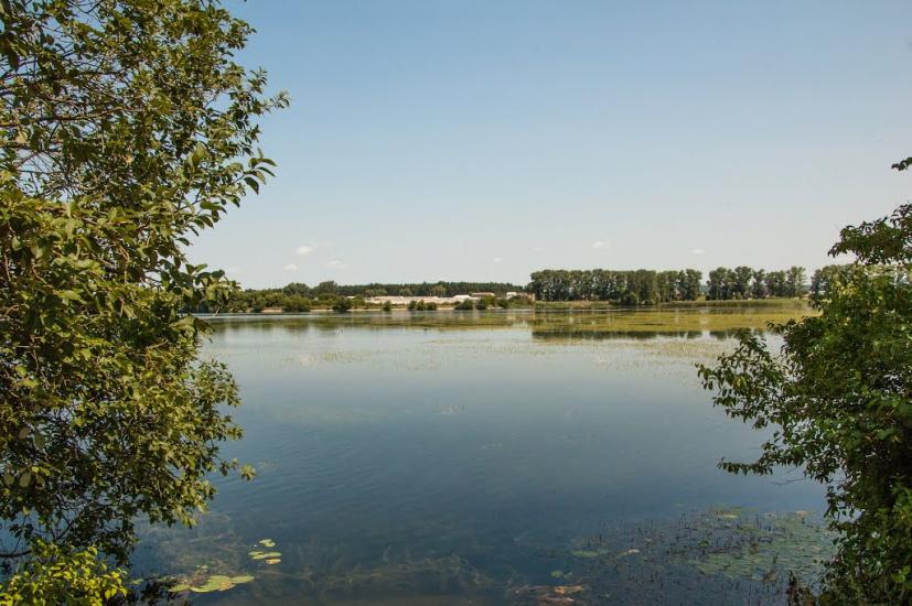 Зарічне з panoramio.com - Зарічне