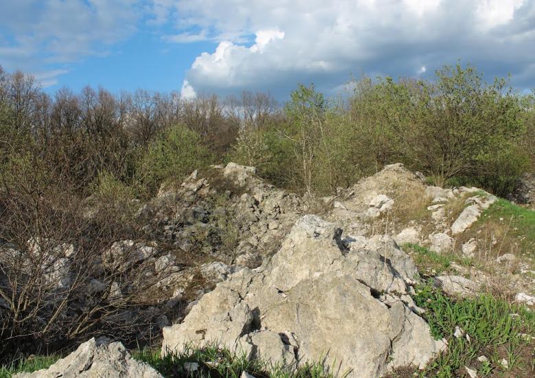 Узин з panoramio.com - Узин