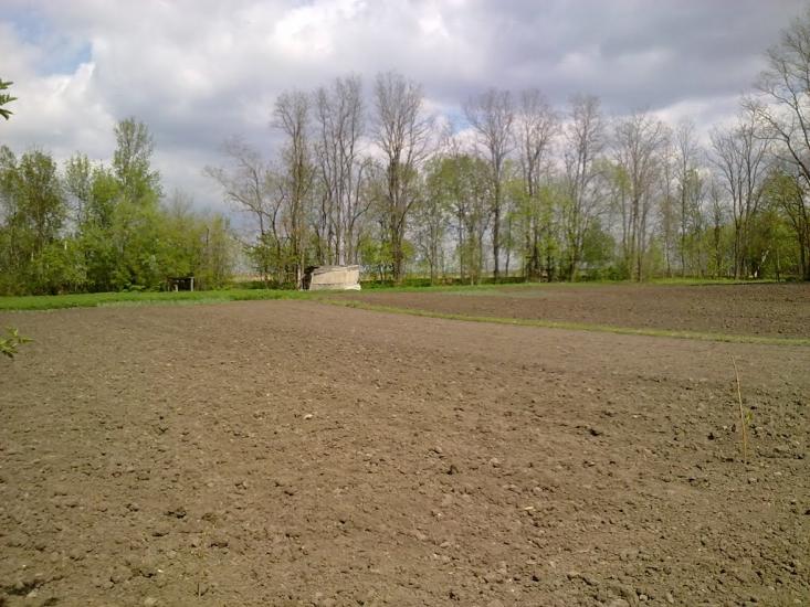 Тернова з panoramio.com - Тернова