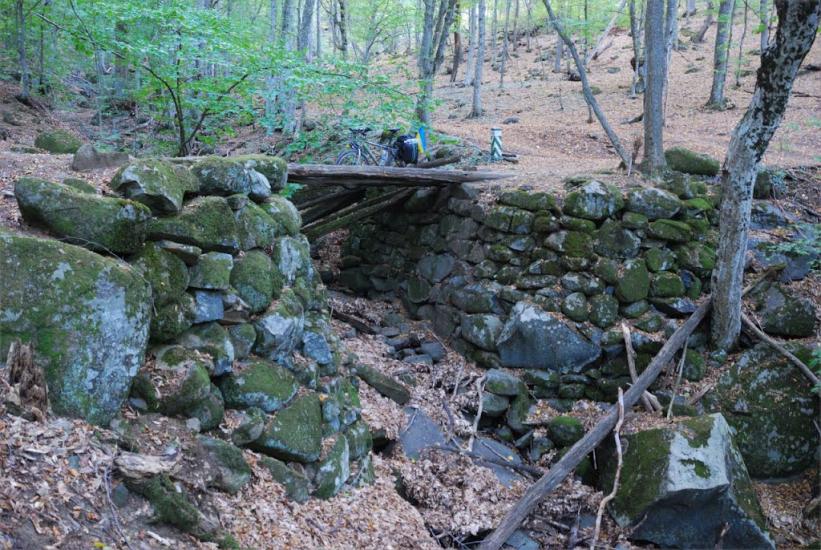 Виноградний з panoramio.com