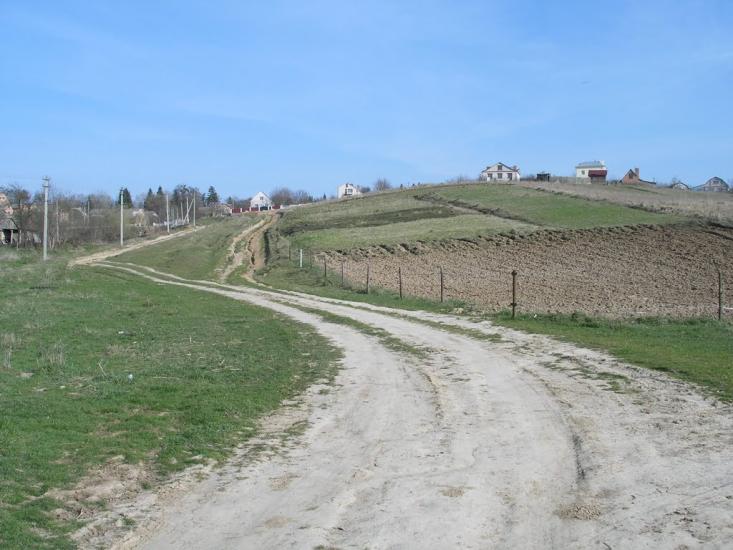 Зарванці з panoramio.com - Зарванцы