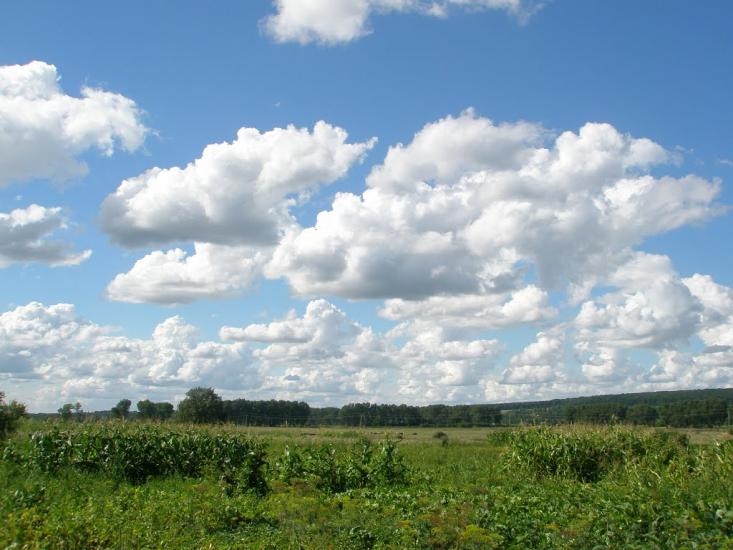 Копистин з panoramio.com - Копыстин