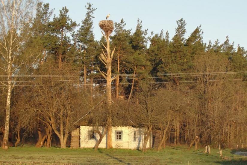 Градиськ з panoramio.com - Градиск